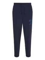 Tommy Jeans Tepláky - TJM COLLEGIATE BAXTER SWEATPANT modré