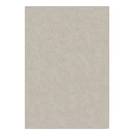Kremowy dywan z włókien z recyklingu 120x170 cm Velvet – Flair Rugs