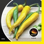 Paprika chilli Giallo PIQUANT