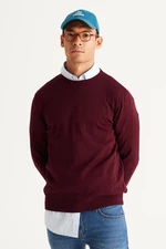 ALTINYILDIZ CLASSICS Men's Claret Red Standard Fit Normal Cut Crew Neck Knitwear Sweater