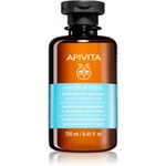 Apivita Hydratation Moisturizing Shampoo hydratačný šampón pre všetky typy vlasov 250 ml