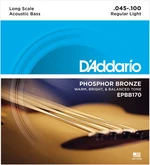 D'Addario EPBB 170 Struny do gitary basowej akustycznej