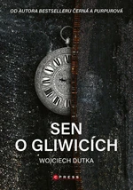 Sen o Gliwicích - Wojciech Dutka - e-kniha