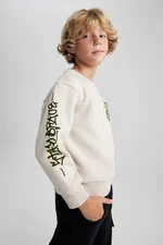 DEFACTO Crew Neck Sweatshirt