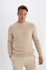 DEFACTO Standard Fit Regular Cut Crew Neck Jacquard Aviator Knitwear Sweater