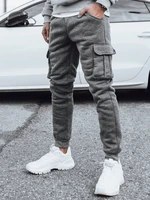 Men's Insulated Cargo Pants - Grey Dstreet