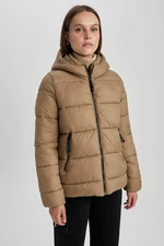 DEFACTO Regular Fit Coat