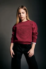 DEFACTO Girls Harry Potter Crew Neck Soft Fluffy Thick Sweatshirt