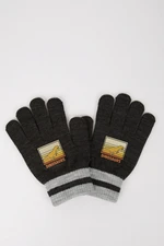 DEFACTO Boy Printed Knitted Gloves