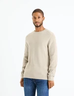 Celio Femoon Sweater - Men's