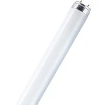 Zářivka Osram, 58 W, G13, 1500 mm, studená bílá