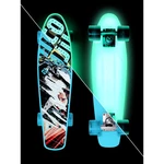 Svítící penny board Street Surfing Beach Board Glow Rough Poster 22,5"