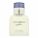 Dolce & Gabbana Light Blue Pour Homme toaletní voda pro muže 40 ml