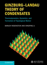 GinzburgâLandau Theory of Condensates