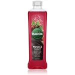 Radox Men Muscle Therapy pena do kúpeľa Black Pepper & Ginseng 500 ml