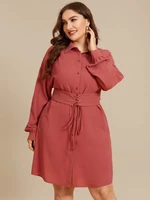 Plus Size Classic Collar Button Design Tie-up Design Long Sleeves Dress