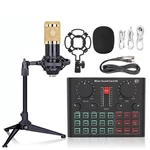 D6 Soundcard Full set of Audio Cards Professional KARAOKE Microphone USB Sound Card Set