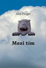 Mezi tím - Aleš Prager