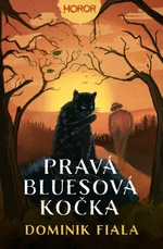 Pravá bluesová kočka - Dominik Fiala