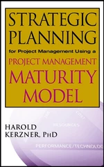 Strategic Planning for Project Management Using a Project Management Maturity Model