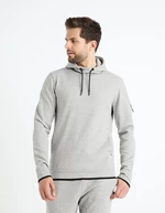 Grey men's hoodie Celio Feyokehood