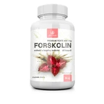 ALLNATURE Forskolin Premium forte 400 mg 60 kapsúl