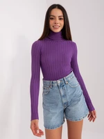 Sweater-PM-SW-1087.09-dark purple