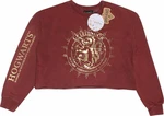 Harry Potter Hoodie Gryffindor Constellation Ladies Maroon 2XL