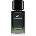 Burberry Mr. Burberry parfumovaná voda pre mužov 100 ml