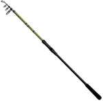 Delphin Partisan Canna 2,7 m 80 g 5 parti