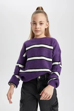 DEFACTO Girl's Crew Neck Striped Knitwear Sweater