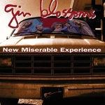 Gin Blossoms - New Miserable Experience (LP)