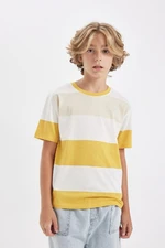 DEFACTO Boy's Crew Neck Striped Short Sleeve T-Shirt