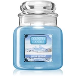 Country Candle Alpine Retreat vonná svíčka 453 g