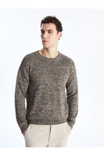 LC Waikiki Crew Neck Long Sleeve Men's Knitwear Sweater