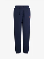 Tepláky - Tommy Jeans TJW RELAXED HRS BADGE SWEATPANT tmavomodré