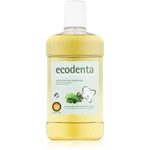 Ecodenta Green Multifunctional ústní voda 500 ml