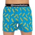 Men's boxer shorts Horsefeathers Frazier pickles