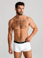 Ombre Men's underpants