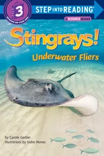 Stingrays! Underwater Fliers