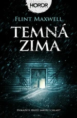 Temná zima - Flint Maxwell