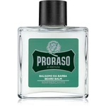 Proraso Green balzam na fúzy 100 ml