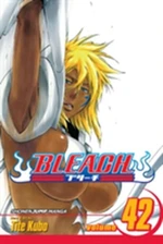 Bleach 42 (anglicky) - Tite Kubo