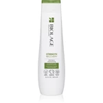 Biolage Strength Recovery šampon pro poškozené vlasy 250 ml