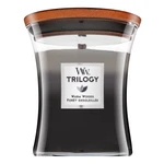 Woodwick Trilogy Warm Woods 275 g