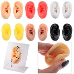 1PC Soft Ear Silicone Piercing Model Tattoo Practice Tools Earring Jewelry Display with Acrylic Display Stand Kit Hot Sale