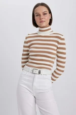 DEFACTO Slim Fit Turtleneck Knitwear Pullover