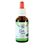 SALVIA PARADISE Gotu kola AF tinktura 50 ml