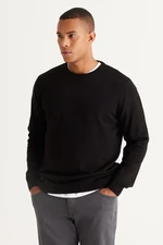 ALTINYILDIZ CLASSICS Men's Black Standard Fit Normal Cut Crew Neck Knitwear Sweater