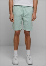 Men's Stretch Twill 2-Pack Shorts - Mint + Black